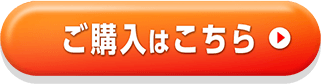 ご購入はこちら